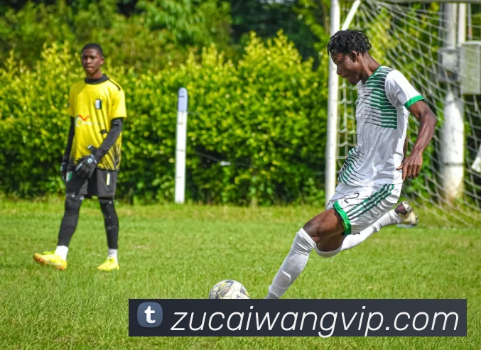 足彩网平台生态图